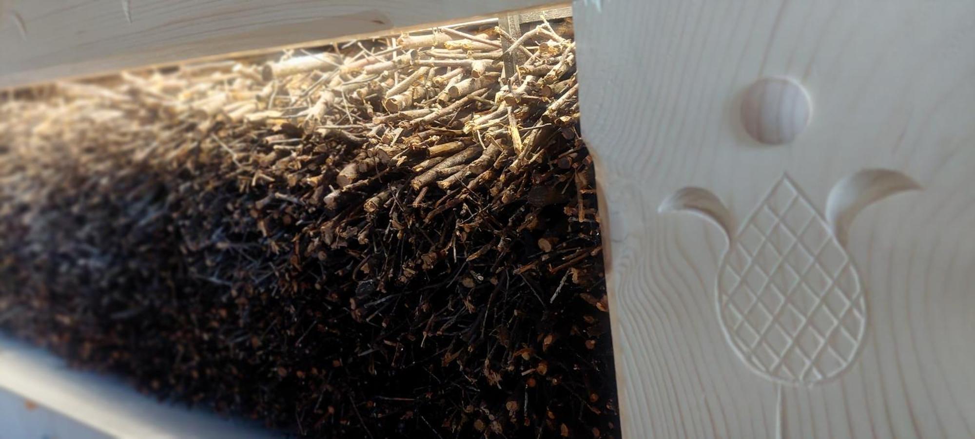 Apartamenty I Pokoje Pod Limbami - Sauna, Teznia Bukowina Tatrzańska Kültér fotó